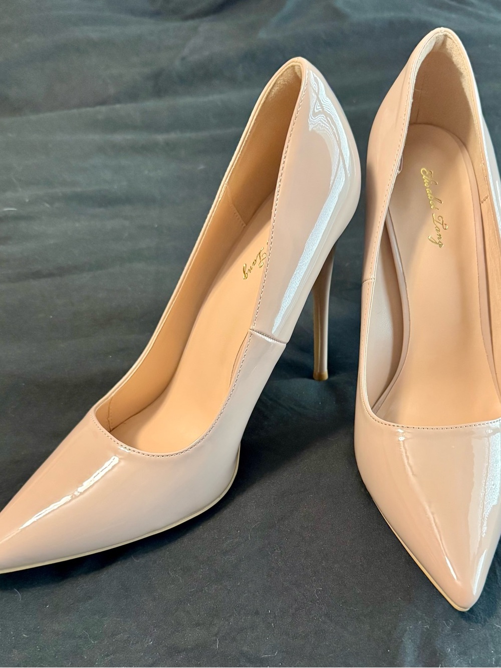 Patent Nude Pointed-Toe Stiletto Pumps
